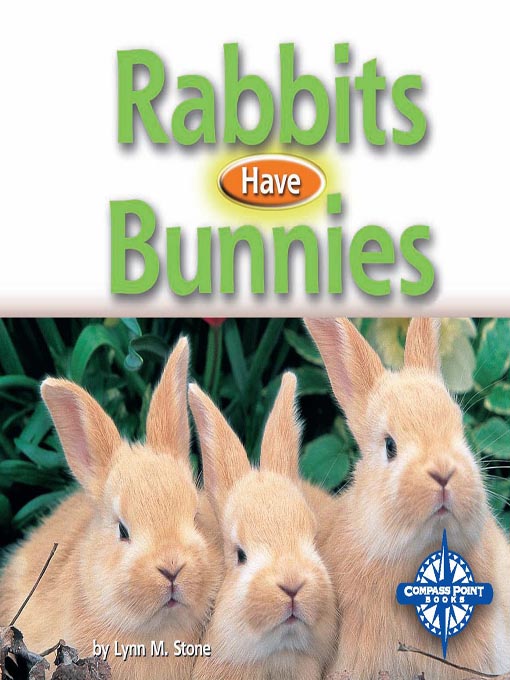 Cover image for Rabbits Have Bunnies